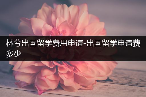 林兮出国留学费用申请-出国留学申请费多少