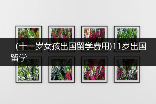 （十一岁女孩出国留学费用)11岁出国留学