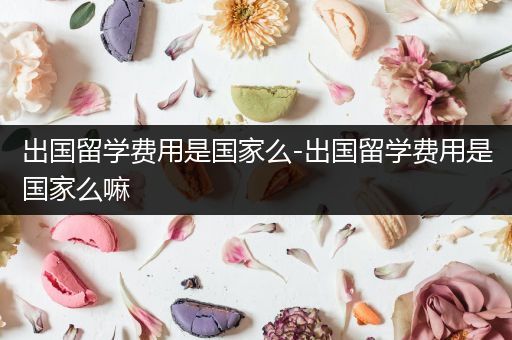出国留学费用是国家么-出国留学费用是国家么嘛
