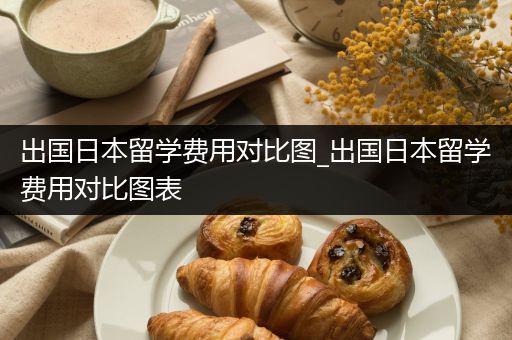 出国日本留学费用对比图_出国日本留学费用对比图表