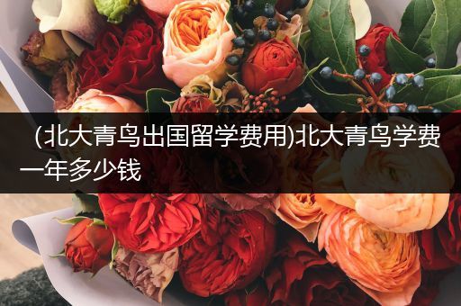 （北大青鸟出国留学费用)北大青鸟学费一年多少钱