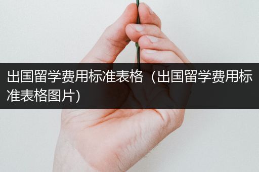 出国留学费用标准表格（出国留学费用标准表格图片）
