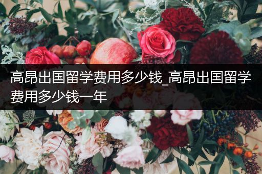 高昂出国留学费用多少钱_高昂出国留学费用多少钱一年