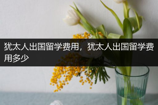 犹太人出国留学费用，犹太人出国留学费用多少