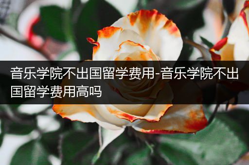 音乐学院不出国留学费用-音乐学院不出国留学费用高吗