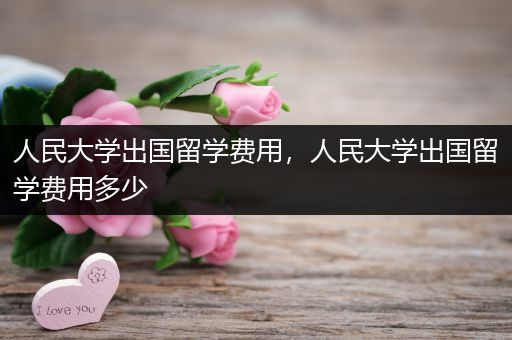 人民大学出国留学费用，人民大学出国留学费用多少