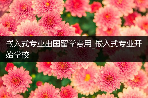 嵌入式专业出国留学费用_嵌入式专业开始学校