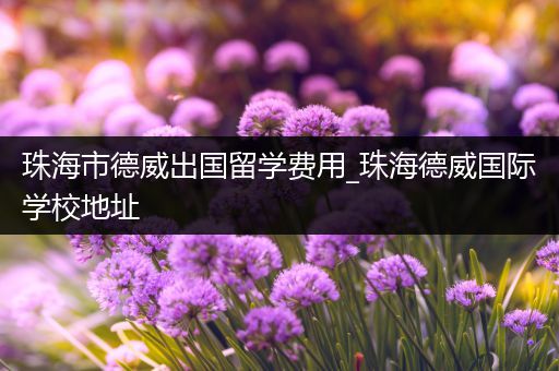 珠海市德威出国留学费用_珠海德威国际学校地址
