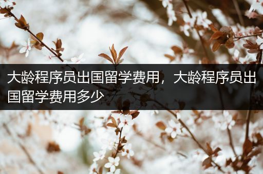 大龄程序员出国留学费用，大龄程序员出国留学费用多少