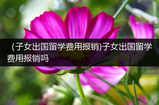 （子女出国留学费用报销)子女出国留学费用报销吗