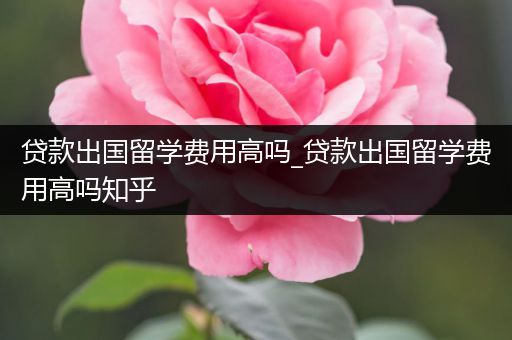 贷款出国留学费用高吗_贷款出国留学费用高吗知乎