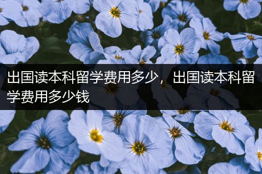 出国读本科留学费用多少，出国读本科留学费用多少钱
