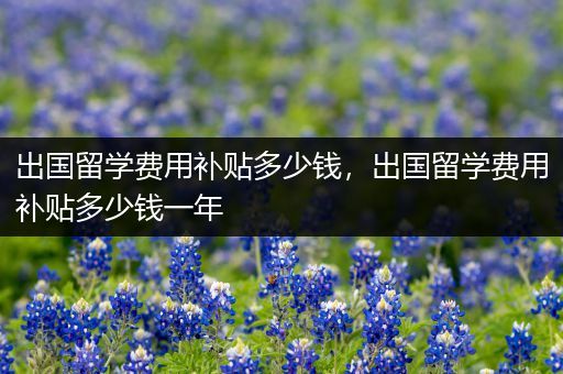 出国留学费用补贴多少钱，出国留学费用补贴多少钱一年