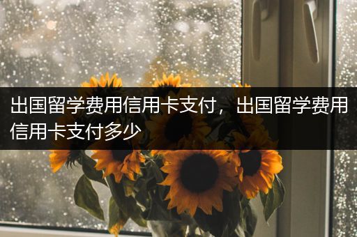 出国留学费用信用卡支付，出国留学费用信用卡支付多少