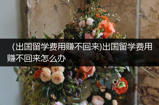 （出国留学费用赚不回来)出国留学费用赚不回来怎么办