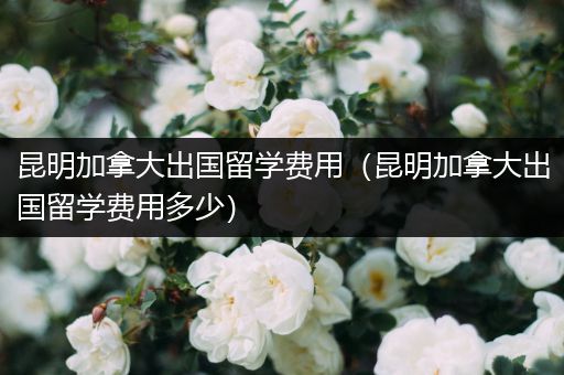 昆明加拿大出国留学费用（昆明加拿大出国留学费用多少）