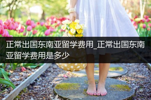 正常出国东南亚留学费用_正常出国东南亚留学费用是多少