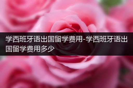 学西班牙语出国留学费用-学西班牙语出国留学费用多少