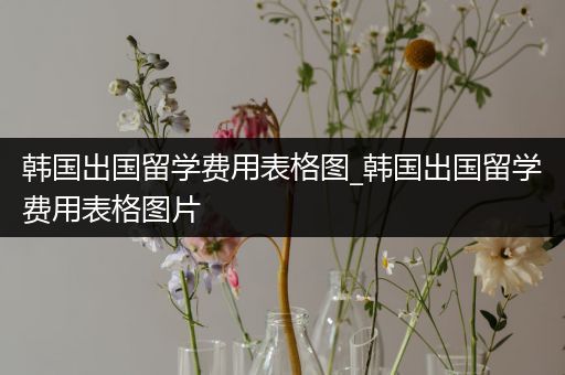 韩国出国留学费用表格图_韩国出国留学费用表格图片