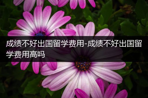 成绩不好出国留学费用-成绩不好出国留学费用高吗