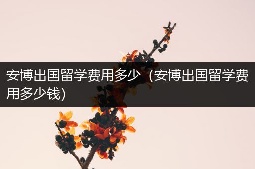 安博出国留学费用多少（安博出国留学费用多少钱）