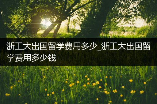 浙工大出国留学费用多少_浙工大出国留学费用多少钱