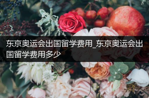 东京奥运会出国留学费用_东京奥运会出国留学费用多少