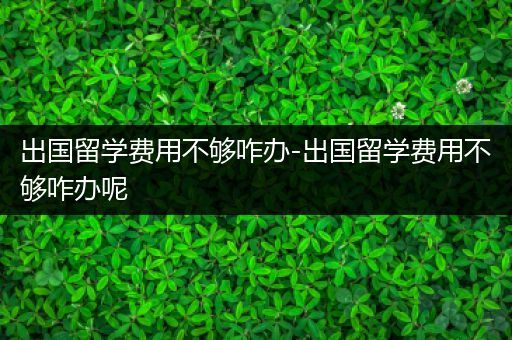 出国留学费用不够咋办-出国留学费用不够咋办呢