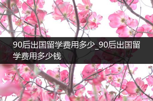 90后出国留学费用多少_90后出国留学费用多少钱