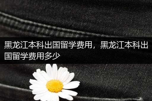 黑龙江本科出国留学费用，黑龙江本科出国留学费用多少