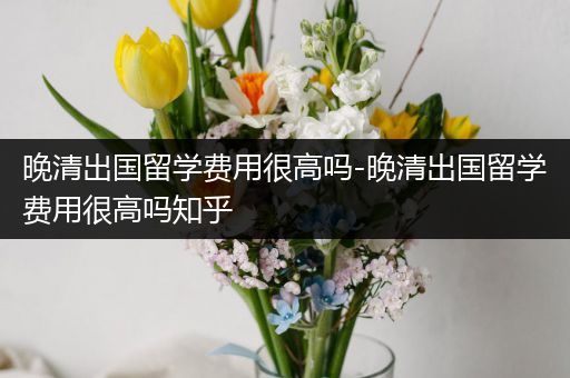 晚清出国留学费用很高吗-晚清出国留学费用很高吗知乎