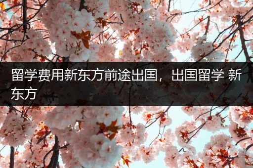 留学费用新东方前途出国，出国留学 新东方