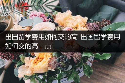 出国留学费用如何交的高-出国留学费用如何交的高一点