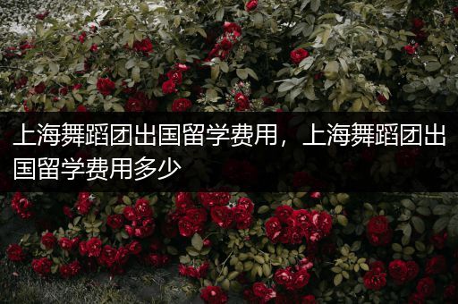 上海舞蹈团出国留学费用，上海舞蹈团出国留学费用多少