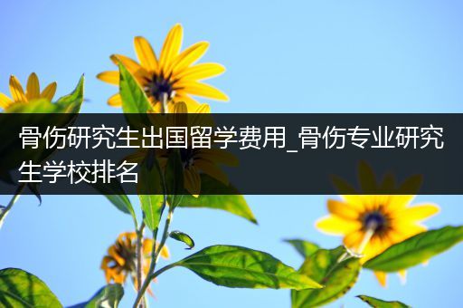 骨伤研究生出国留学费用_骨伤专业研究生学校排名