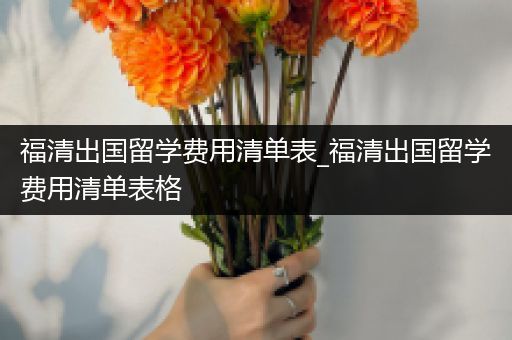福清出国留学费用清单表_福清出国留学费用清单表格