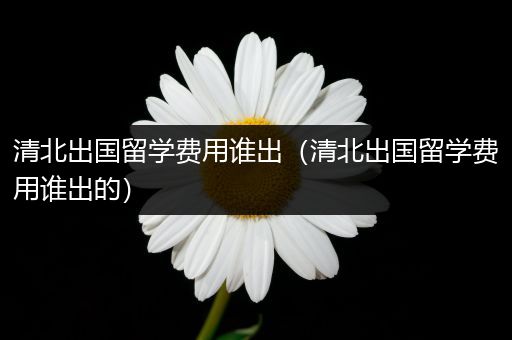 清北出国留学费用谁出（清北出国留学费用谁出的）