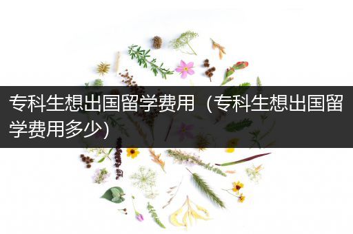 专科生想出国留学费用（专科生想出国留学费用多少）