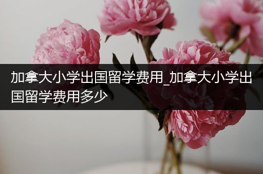 加拿大小学出国留学费用_加拿大小学出国留学费用多少
