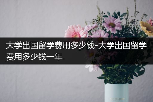 大学出国留学费用多少钱-大学出国留学费用多少钱一年
