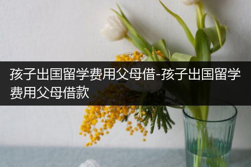 孩子出国留学费用父母借-孩子出国留学费用父母借款