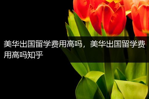 美华出国留学费用高吗，美华出国留学费用高吗知乎