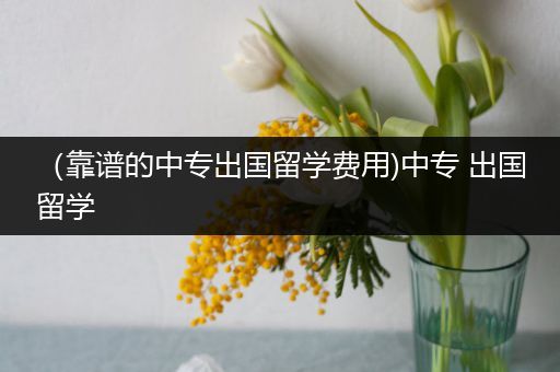 （靠谱的中专出国留学费用)中专 出国留学