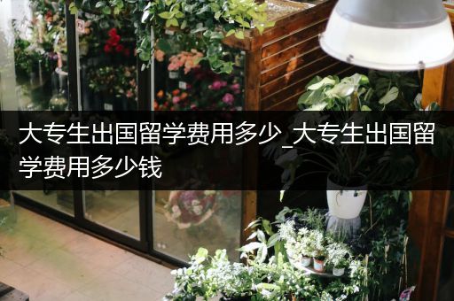 大专生出国留学费用多少_大专生出国留学费用多少钱
