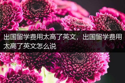 出国留学费用太高了英文，出国留学费用太高了英文怎么说