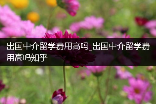 出国中介留学费用高吗_出国中介留学费用高吗知乎