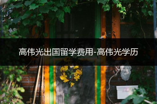 高伟光出国留学费用-高伟光学历