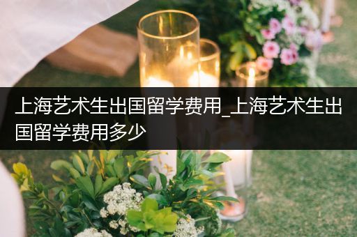上海艺术生出国留学费用_上海艺术生出国留学费用多少