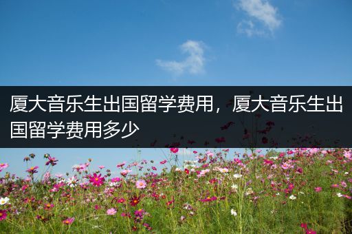 厦大音乐生出国留学费用，厦大音乐生出国留学费用多少
