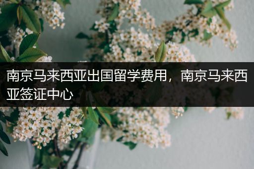 南京马来西亚出国留学费用，南京马来西亚签证中心